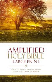 Amplified Holy Bible: Captures the Full Meaning Behind the Original Greek and Hebrew By:Anonymous Eur:17,87 Ден2:2199
