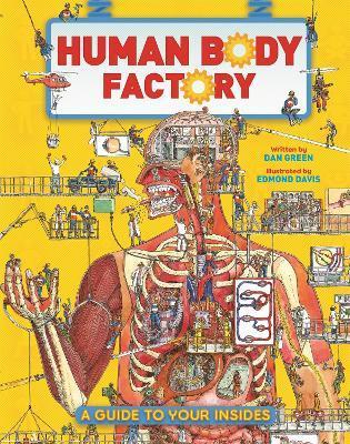 The Human Body Factory : A Guide To Your Insides By:Green, Dan Eur:16,24 Ден2:699