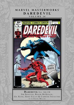 Marvel Masterworks: Daredevil Vol. 14 By:Shooter, Jim Eur:16,24 Ден2:4199