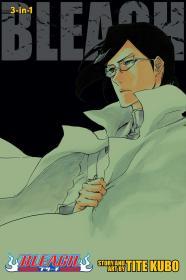 Bleach (3-in-1 Edition), Vol. 24 By:Kubo, Tite Eur:11,37 Ден2:999