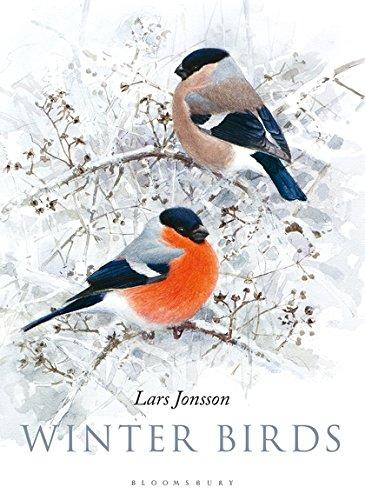 Winter Birds By:Jonsson, Lars Eur:24,37 Ден2:2199