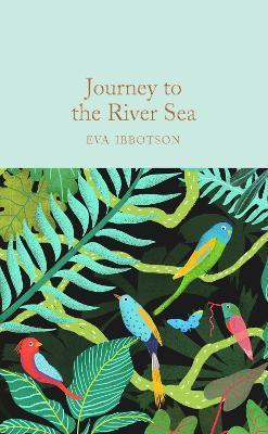Journey to the River Sea By:Ibbotson, Eva Eur:30,88 Ден2:799