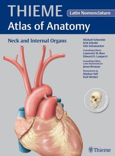 Neck and Internal Organs - Latin Nomencl: v. 2 By:Schuenke, Michael Eur:26 Ден1:3899