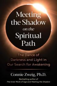 Meeting the Shadow on the Spiritual Path: The Dance of Darkness and Light in Our Search for Awakening By:Zweig, Connie Eur:26 Ден1:1299