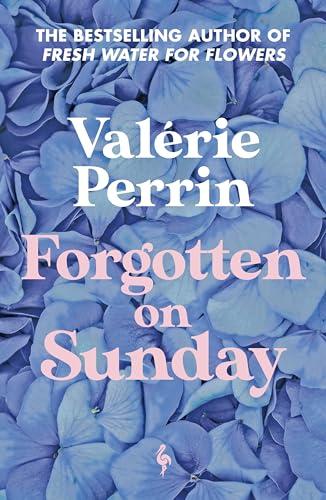 Forgotten on Sunday By:Perrin, Valerie Eur:11,37 Ден2:799