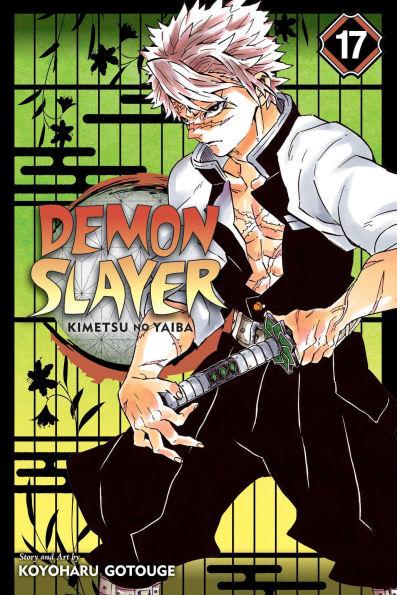 Demon Slayer: Kimetsu no Yaiba, Vol. 17 By:Gotouge, Koyoharu Eur:9,74 Ден2:699
