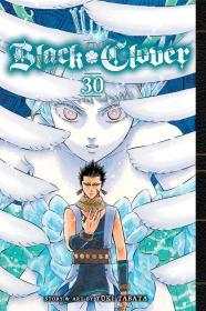 Black Clover, Vol. 30 By:Tabata, Y?ki Eur:16,24 Ден2:699